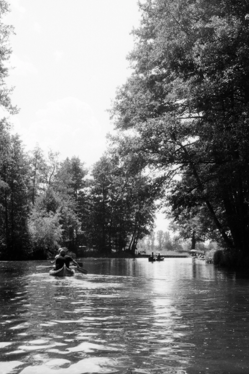 main image of post: Spreewald